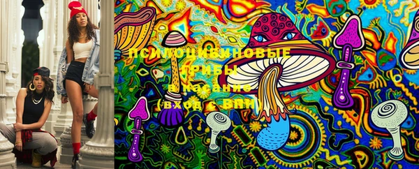 COCAINE Гусь-Хрустальный